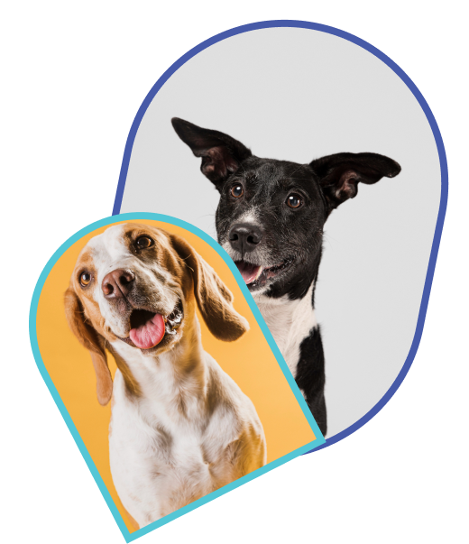 Photo Frames Photo Frames