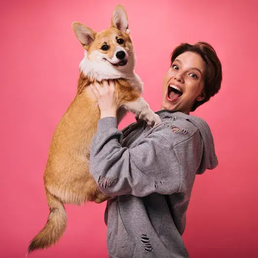 peludito-1 peludito-1